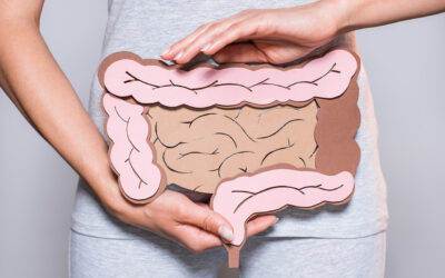 Candida Overgrowth in The Gut