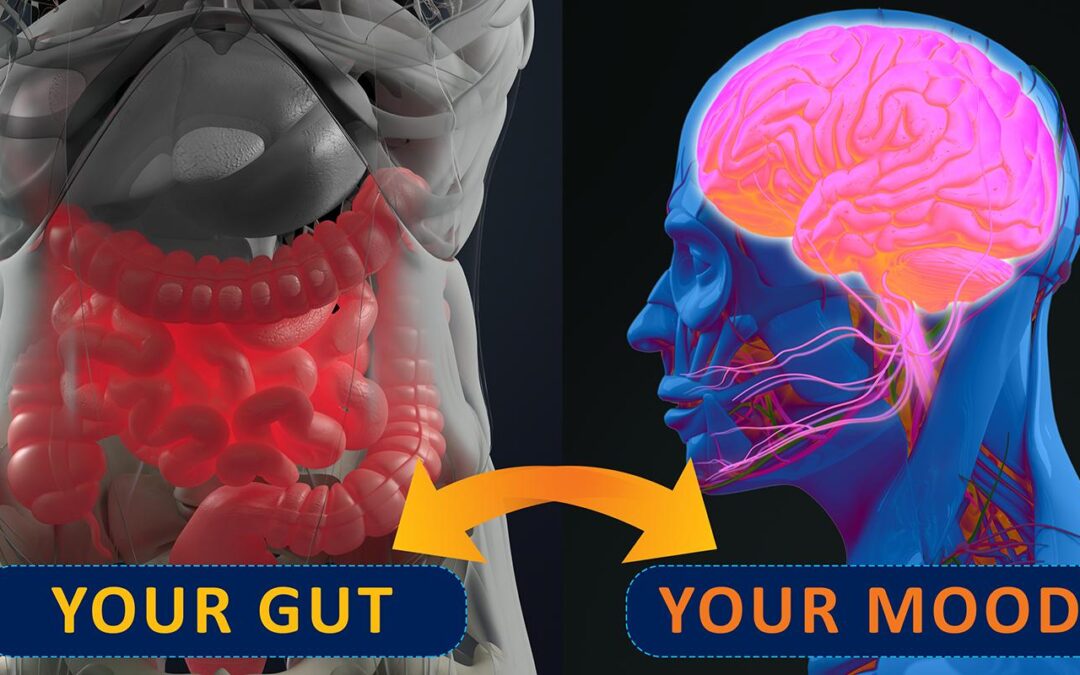 Digestive system communicates with our nervous system